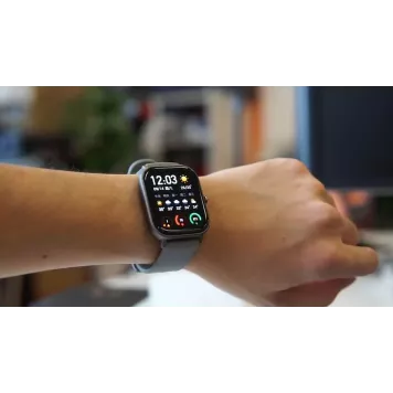 Умные часы Xiaomi Amazfit GTS Grey-1
